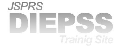 DIEPSS トレーニングサイト